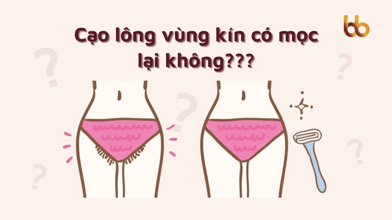 4. Tác Hại Tiềm Ẩn Của Cạo Lông Vùng Kín